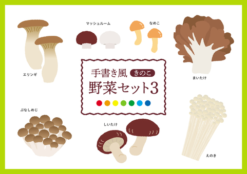 Handwritten vegetable set 3 mushrooms Handwritten vegetable set 3 mushrooms