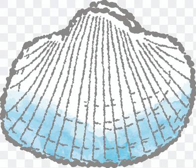 Seashell - Akagaku Seashell - Akagaku