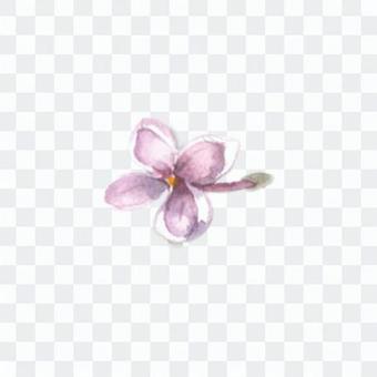 Small Flower 10 - Lilac Small Flower 10 - Lilac