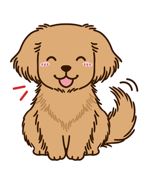 Rejoice golden retriever Rejoice golden retriever