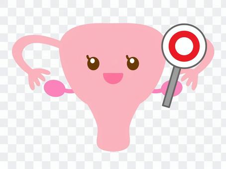 Uterus Ovary Fallopian tube Round safety Uterus Ovary Fallopian tube Round safety