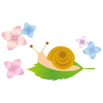 蝸牛和八仙花屬花 蝸牛和八仙花屬花