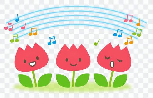 Tulip music concert Tulip music concert