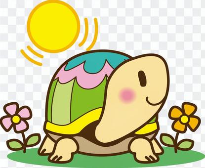 A sunny day turtle A sunny day turtle