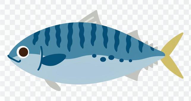 Sea creatures - mackerel Sea creatures - mackerel