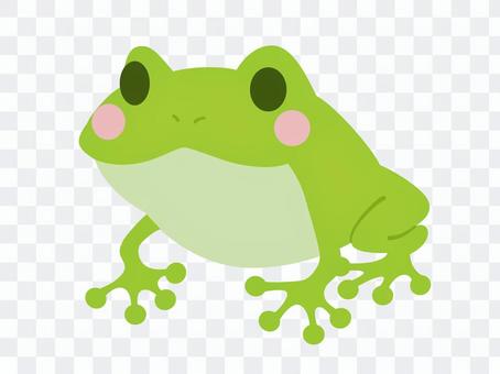 Frog illustrations material Frog illustrations material