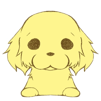 Golden retriever Golden retriever