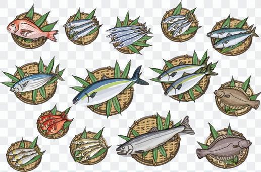 Fish gathering & bamboo grass Fish gathering & bamboo grass