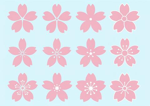 Sakura's flower design 12 species Sakura's flower design 12 species