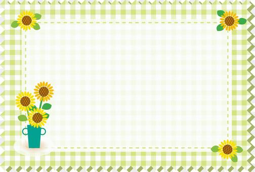 Check Sunflower Check Sunflower