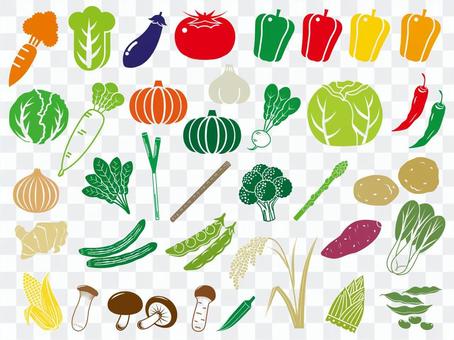 Vegetable icon set Vegetable icon set