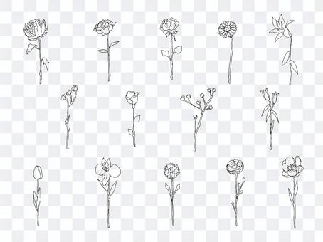 Illustration set of a single flower Illustration set of a single flower