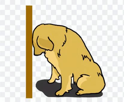 Golden retriever remorse Golden retriever remorse