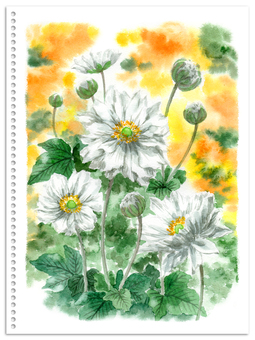 Analog watercolor double-flowered anemone Analog watercolor double-flowered anemone