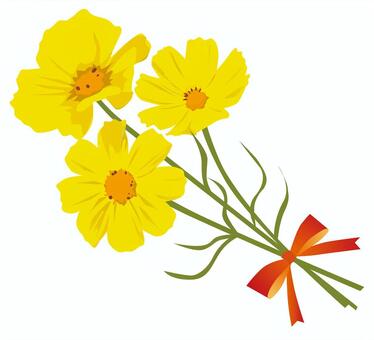 Yellow cosmos bouquet Yellow cosmos bouquet