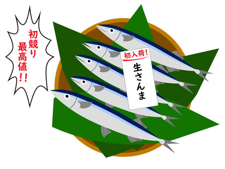 First auction of fish raw saury autumn sword fish First auction of fish raw saury autumn sword fish
