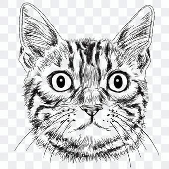 ベンガル・しま猫の顔/白黒手描きイラスト ベンガル・しま猫の顔/白黒手描きイラスト