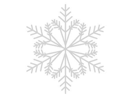 Crystal of snow Crystal of snow