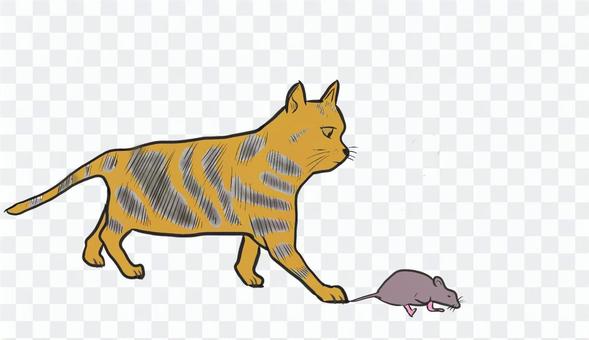 ネコがネズミを捕まえる ネコがネズミを捕まえる