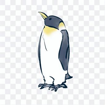 Emperor penguin 2 Emperor penguin 2