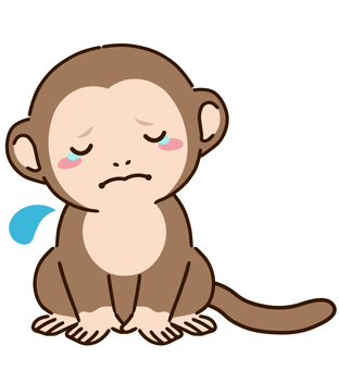 A monkey A monkey