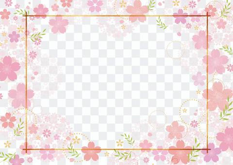 Cherry blossoms 362 Cherry blossoms 362