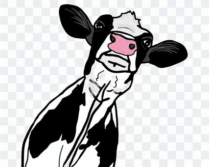 柿のイラスト Png透過済 Free Download Illustac