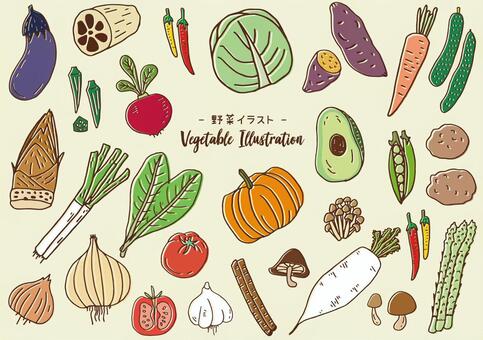 Vegetable illustration Vegetable illustration