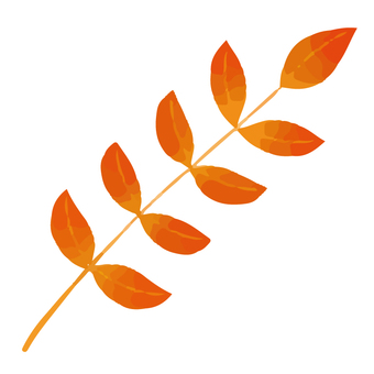 Autumn leaves fern plant Autumn leaves fern plant