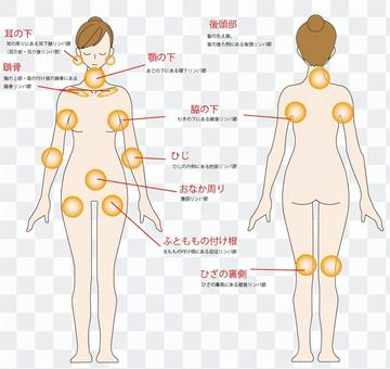 Lymph node position - whole body Lymph node position - whole body
