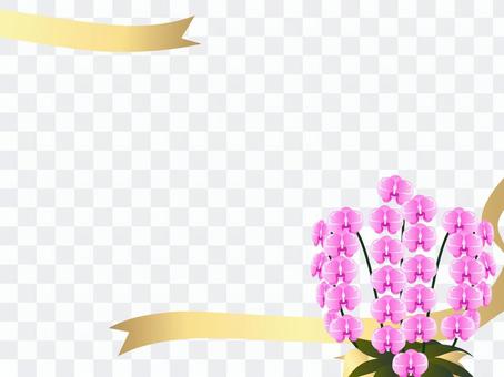 Moth orchid frame Moth orchid frame