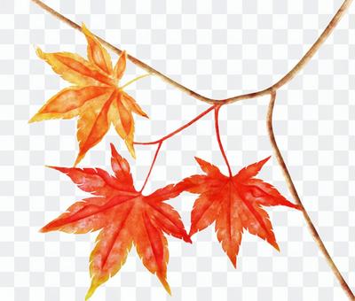 Astringent watercolor of autumn leaves Astringent watercolor of autumn leaves