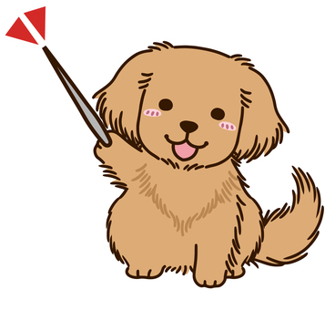 Golden retriever to explain Golden retriever to explain