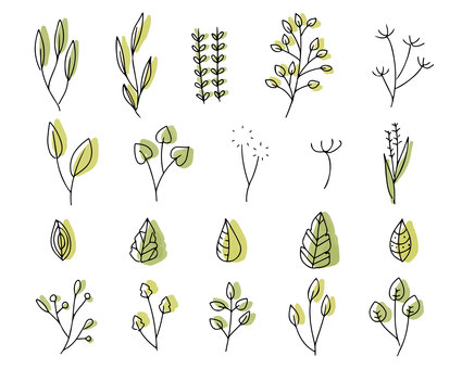 Line art plant motif set Leaf illustration Line art plant motif set Leaf illustration