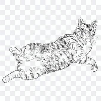 かわいい茶トラ猫の絵/白黒手描きイラスト かわいい茶トラ猫の絵/白黒手描きイラスト