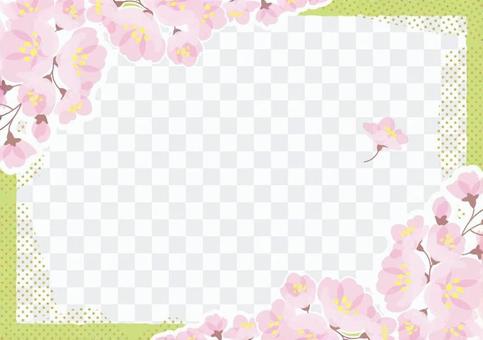 SAKURA check frame 6 SAKURA check frame 6