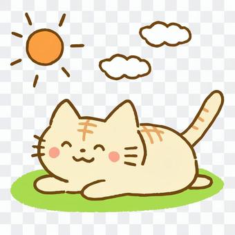 ひなたぼっこをするトラ猫 ひなたぼっこをするトラ猫