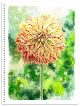 Analog watercolor pompom blooming dahlia cream color Analog watercolor pompom blooming dahlia cream color