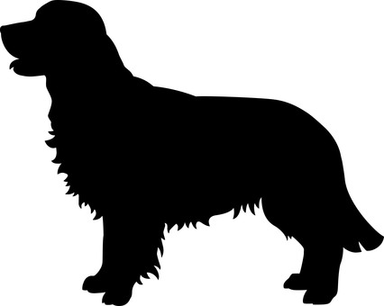 Golden retriever silhouette Golden retriever silhouette