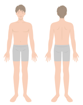 Male body Full body Front and back Male body Full body Front and back