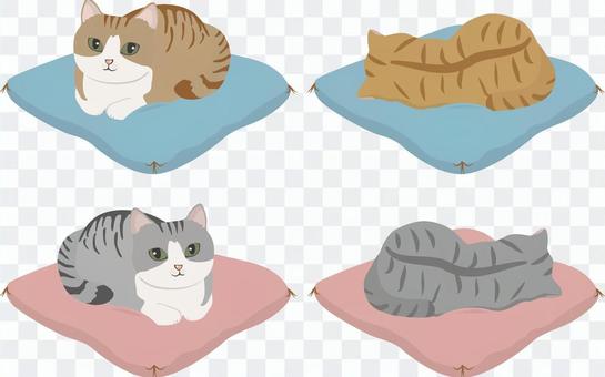 Cushion cat Cushion cat