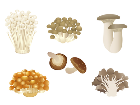 Various mushrooms Various mushrooms