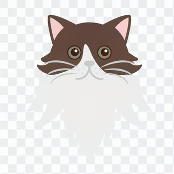 Cat's face Cat's face