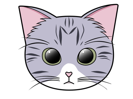 Front-facing cat (Sabatra white) Front-facing cat (Sabatra white)