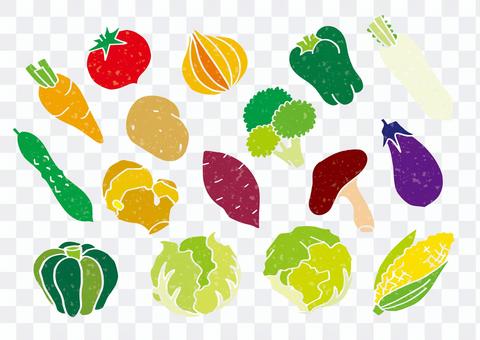 Vegetable Illustrations Vegetable Illustrations
