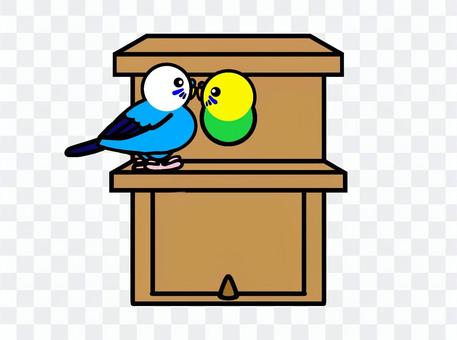 Budgerigar birdhouse Budgerigar birdhouse