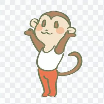 Monkeys doing gymnastics Monkeys doing gymnastics