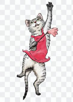 Domestic cat (Sabatra) color Domestic cat (Sabatra) color