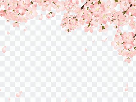 Cherry frame Cherry frame