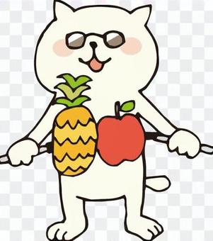 Cat (Tropical cat 1) Cat (Tropical cat 1)